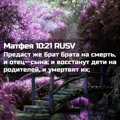 Picture 02 - Матфея 10:21 RUSV - Предаст же брат брата на - Bible Verse Picture