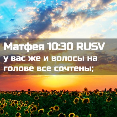 Picture 02 - Матфея 10:30 RUSV - у вас же и волосы на голове - Bible Verse Picture