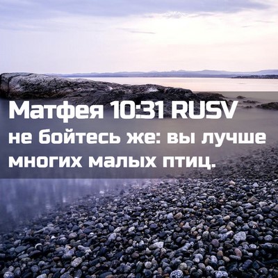 Picture 02 - Матфея 10:31 RUSV - не бойтесь же: вы лучше - Bible Verse Picture