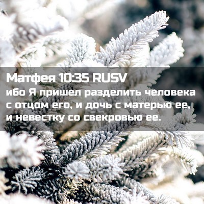 Picture 02 - Матфея 10:35 RUSV - ибо Я пришел разделить - Bible Verse Picture