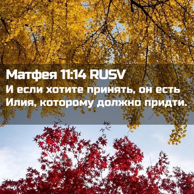 Picture 02 - Матфея 11:14 RUSV - И если хотите принять, он - Bible Verse Picture