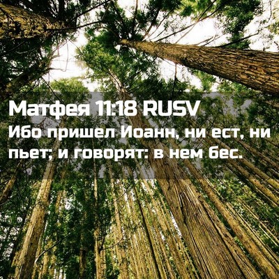 Picture 02 - Матфея 11:18 RUSV - Ибо пришел Иоанн, ни ест, ни - Bible Verse Picture