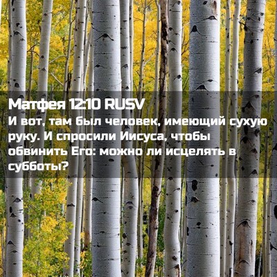 Picture 02 - Матфея 12:10 RUSV - И вот, там был человек, - Bible Verse Picture