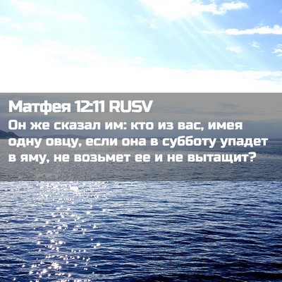 Picture 02 - Матфея 12:11 RUSV - Он же сказал им: кто из вас, - Bible Verse Picture