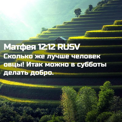 Picture 02 - Матфея 12:12 RUSV - Сколько же лучше человек - Bible Verse Picture