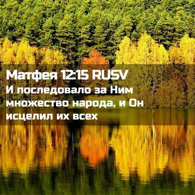 Picture 02 - Матфея 12:15 RUSV - И последовало за Ним - Bible Verse Picture