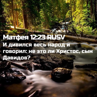 Picture 02 - Матфея 12:23 RUSV - И дивился весь народ и - Bible Verse Picture