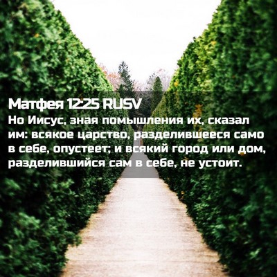 Picture 02 - Матфея 12:25 RUSV - Но Иисус, зная помышления - Bible Verse Picture