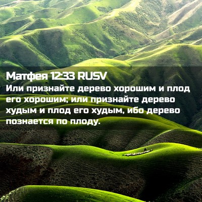 Picture 02 - Матфея 12:33 RUSV - Или признайте дерево - Bible Verse Picture