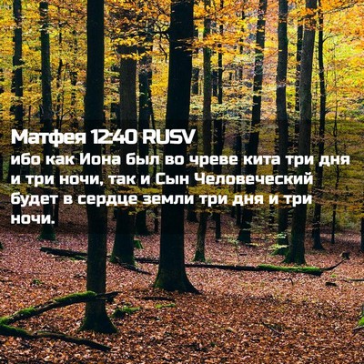 Picture 02 - Матфея 12:40 RUSV - ибо как Иона был во чреве - Bible Verse Picture