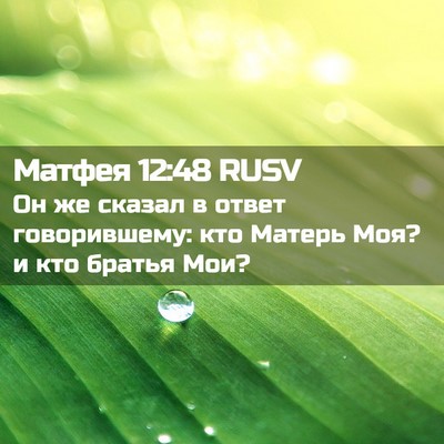 Picture 02 - Матфея 12:48 RUSV - Он же сказал в ответ - Bible Verse Picture