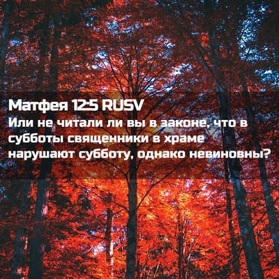 Picture 02 - Матфея 12:5 RUSV - Или не читали ли вы в - Bible Verse Picture