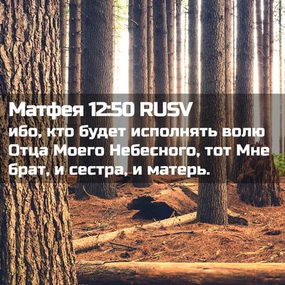 Picture 02 - Матфея 12:50 RUSV - ибо, кто будет исполнять - Bible Verse Picture
