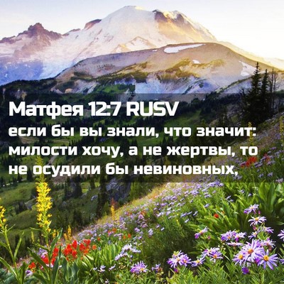 Picture 02 - Матфея 12:7 RUSV - если бы вы знали, что - Bible Verse Picture