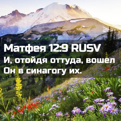 Picture 02 - Матфея 12:9 RUSV - И, отойдя оттуда, вошел Он в - Bible Verse Picture