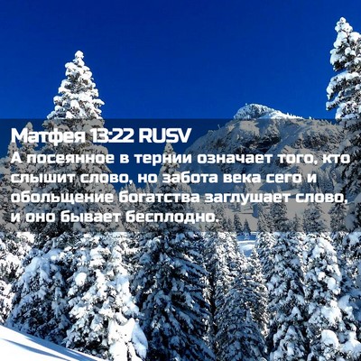 Picture 02 - Матфея 13:22 RUSV - А посеянное в тернии - Bible Verse Picture