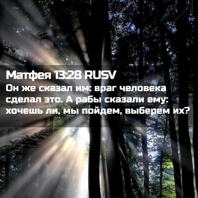 Picture 02 - Матфея 13:28 RUSV - Он же сказал им: враг - Bible Verse Picture