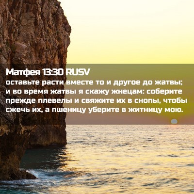 Picture 02 - Матфея 13:30 RUSV - оставьте расти вместе то и - Bible Verse Picture