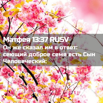Picture 02 - Матфея 13:37 RUSV - Он же сказал им в ответ: - Bible Verse Picture