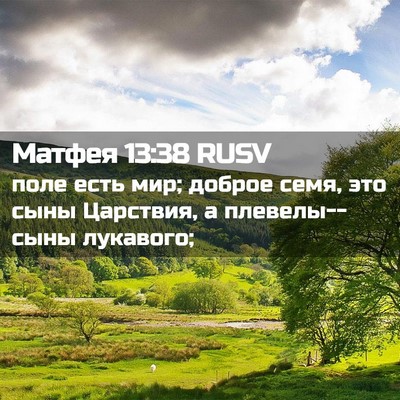 Picture 02 - Матфея 13:38 RUSV - поле есть мир; доброе семя, - Bible Verse Picture