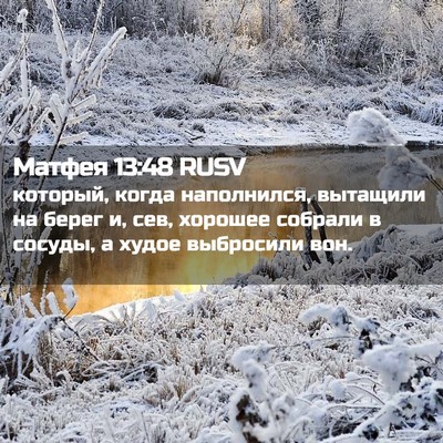 Picture 02 - Матфея 13:48 RUSV - который, когда наполнился, - Bible Verse Picture