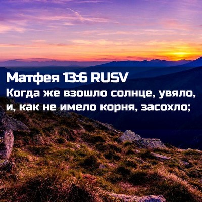 Picture 02 - Матфея 13:6 RUSV - Когда же взошло солнце, - Bible Verse Picture