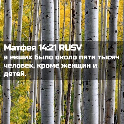 Picture 02 - Матфея 14:21 RUSV - а евших было около пяти - Bible Verse Picture