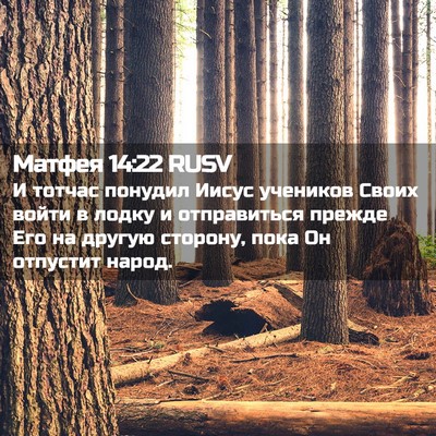 Picture 02 - Матфея 14:22 RUSV - И тотчас понудил Иисус - Bible Verse Picture