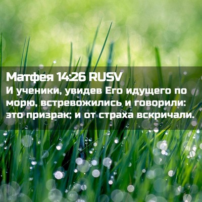 Picture 02 - Матфея 14:26 RUSV - И ученики, увидев Его - Bible Verse Picture