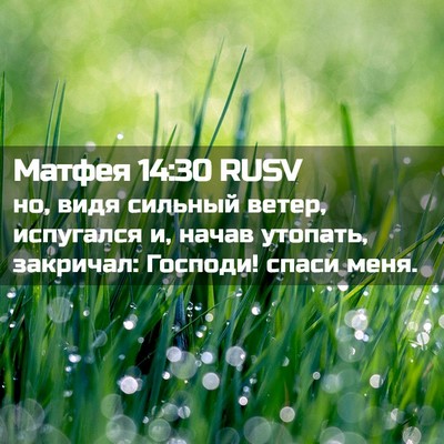 Picture 02 - Матфея 14:30 RUSV - но, видя сильный ветер, - Bible Verse Picture