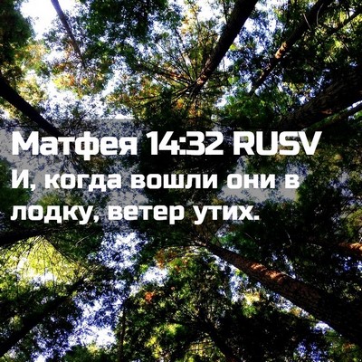 Picture 02 - Матфея 14:32 RUSV - И, когда вошли они в лодку, - Bible Verse Picture