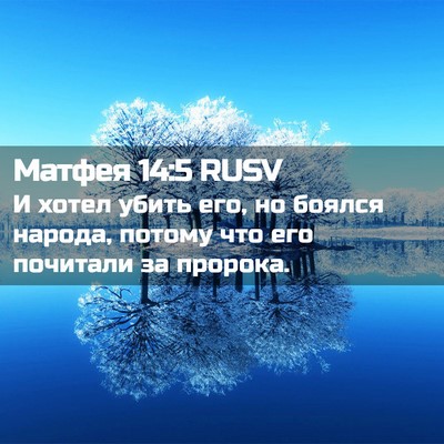 Picture 02 - Матфея 14:5 RUSV - И хотел убить его, но - Bible Verse Picture