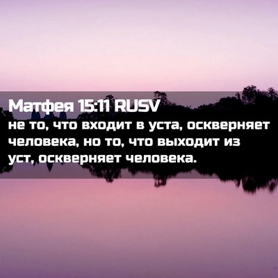Picture 02 - Матфея 15:11 RUSV - не то, что входит в уста, - Bible Verse Picture