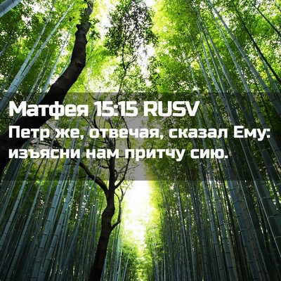 Picture 02 - Матфея 15:15 RUSV - Петр же, отвечая, сказал - Bible Verse Picture