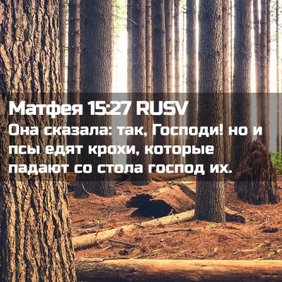 Picture 02 - Матфея 15:27 RUSV - Она сказала: так, Господи! - Bible Verse Picture