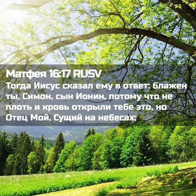 Picture 02 - Матфея 16:17 RUSV - Тогда Иисус сказал ему в - Bible Verse Picture