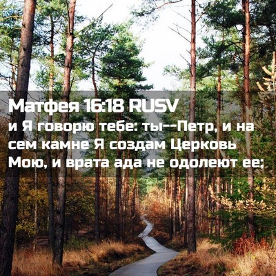 Picture 02 - Матфея 16:18 RUSV - и Я говорю тебе: ты--Петр, и - Bible Verse Picture