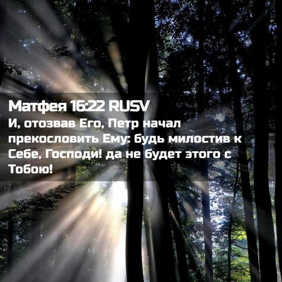 Picture 02 - Матфея 16:22 RUSV - И, отозвав Его, Петр начал - Bible Verse Picture