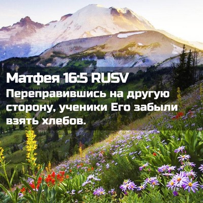 Picture 02 - Матфея 16:5 RUSV - Переправившись на другую - Bible Verse Picture