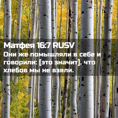 Picture 02 - Матфея 16:7 RUSV - Они же помышляли в себе и - Bible Verse Picture