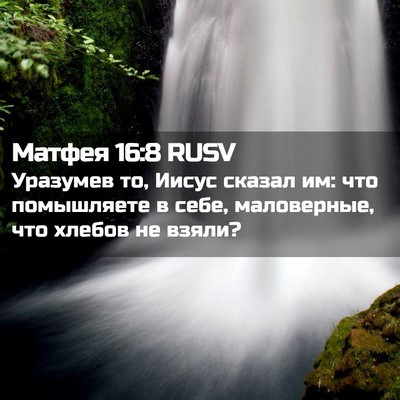 Picture 02 - Матфея 16:8 RUSV - Уразумев то, Иисус сказал - Bible Verse Picture