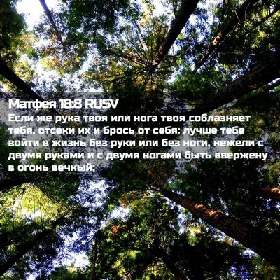 Picture 02 - Матфея 18:8 RUSV - Если же рука твоя или нога - Bible Verse Picture