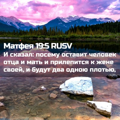 Picture 02 - Матфея 19:5 RUSV - И сказал: посему оставит - Bible Verse Picture
