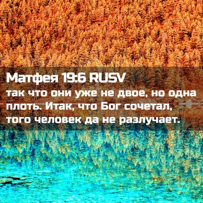 Picture 02 - Матфея 19:6 RUSV - так что они уже не двое, но - Bible Verse Picture