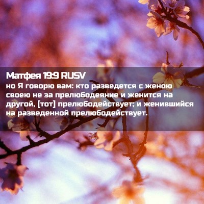 Picture 02 - Матфея 19:9 RUSV - но Я говорю вам: кто - Bible Verse Picture