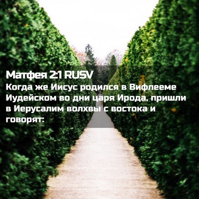 Picture 02 - Матфея 2:1 RUSV - Когда же Иисус родился в - Bible Verse Picture