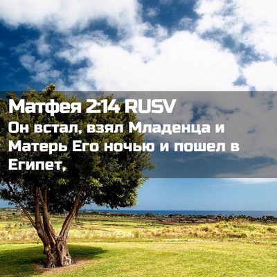 Picture 02 - Матфея 2:14 RUSV - Он встал, взял Младенца и - Bible Verse Picture