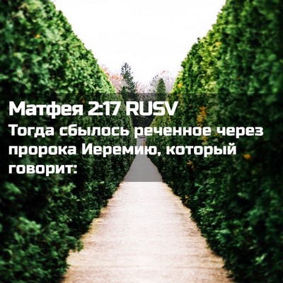 Picture 02 - Матфея 2:17 RUSV - Тогда сбылось реченное - Bible Verse Picture