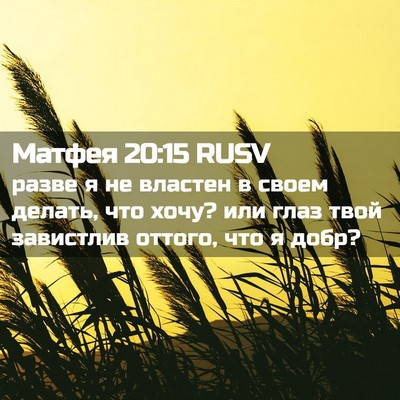 Picture 02 - Матфея 20:15 RUSV - разве я не властен в своем - Bible Verse Picture