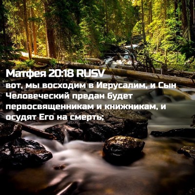 Picture 02 - Матфея 20:18 RUSV - вот, мы восходим в - Bible Verse Picture